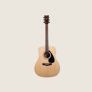 Akoestische gitaar