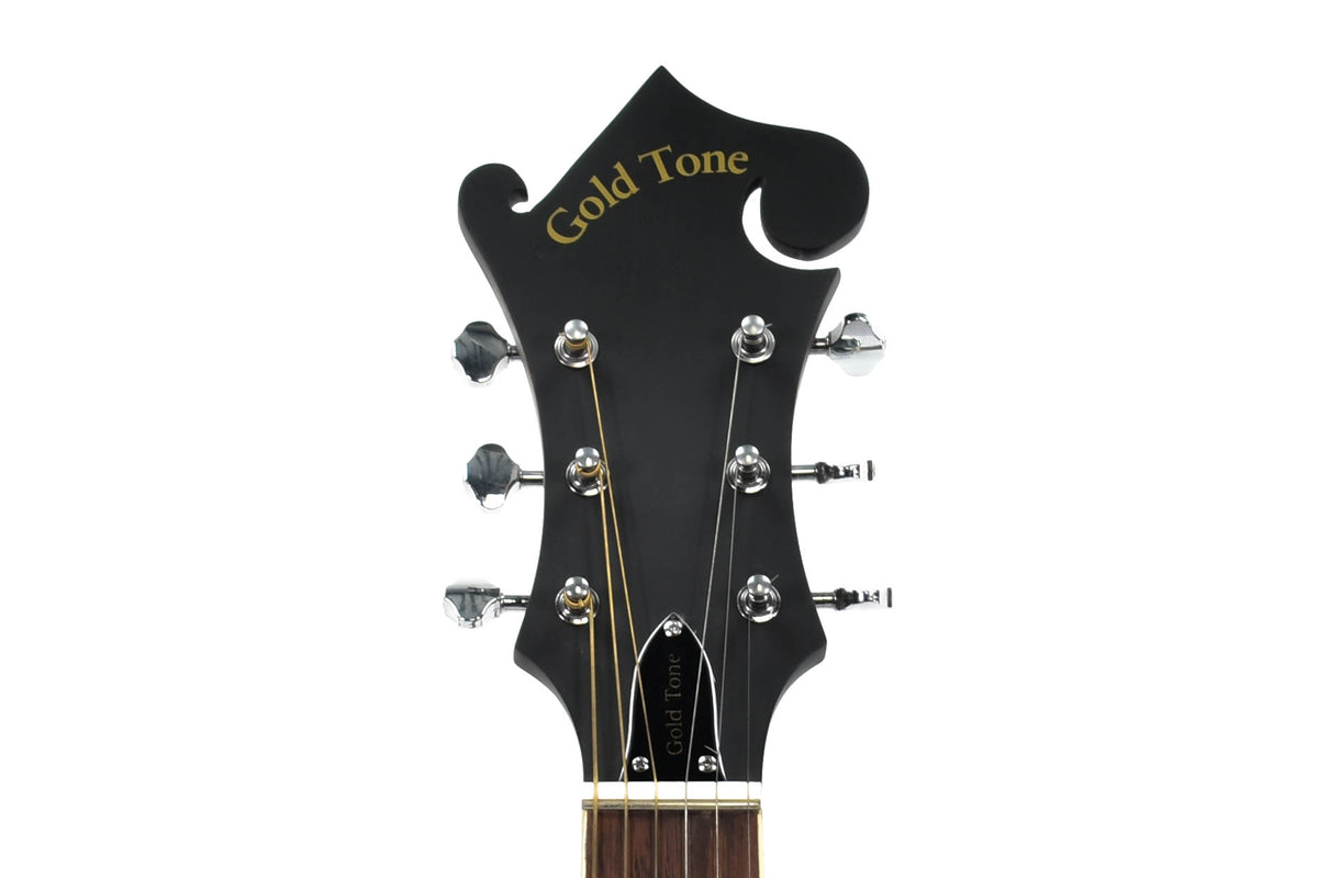 Gold Tone Mando Guitar Semi-Akoestisch