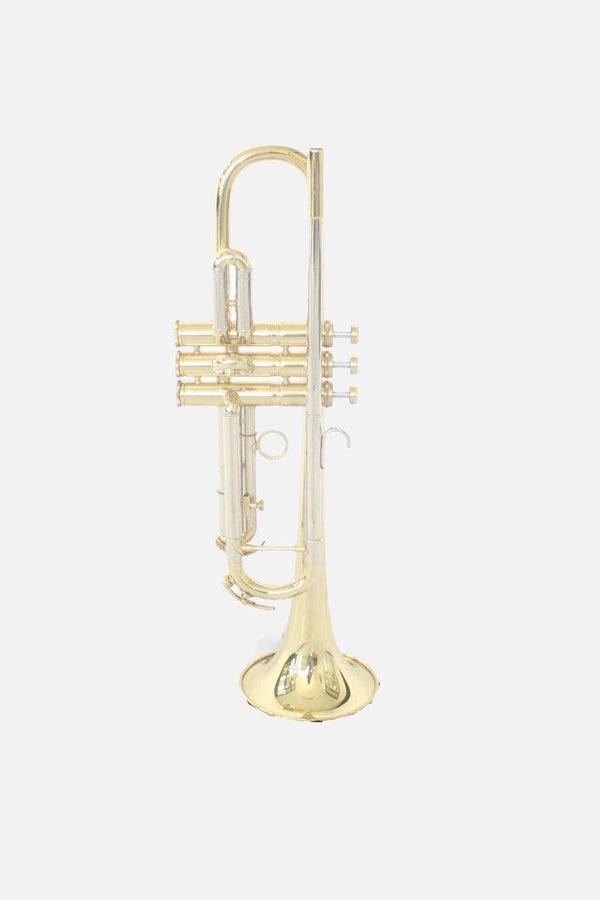 Bb Trompet gelakt - Music All In