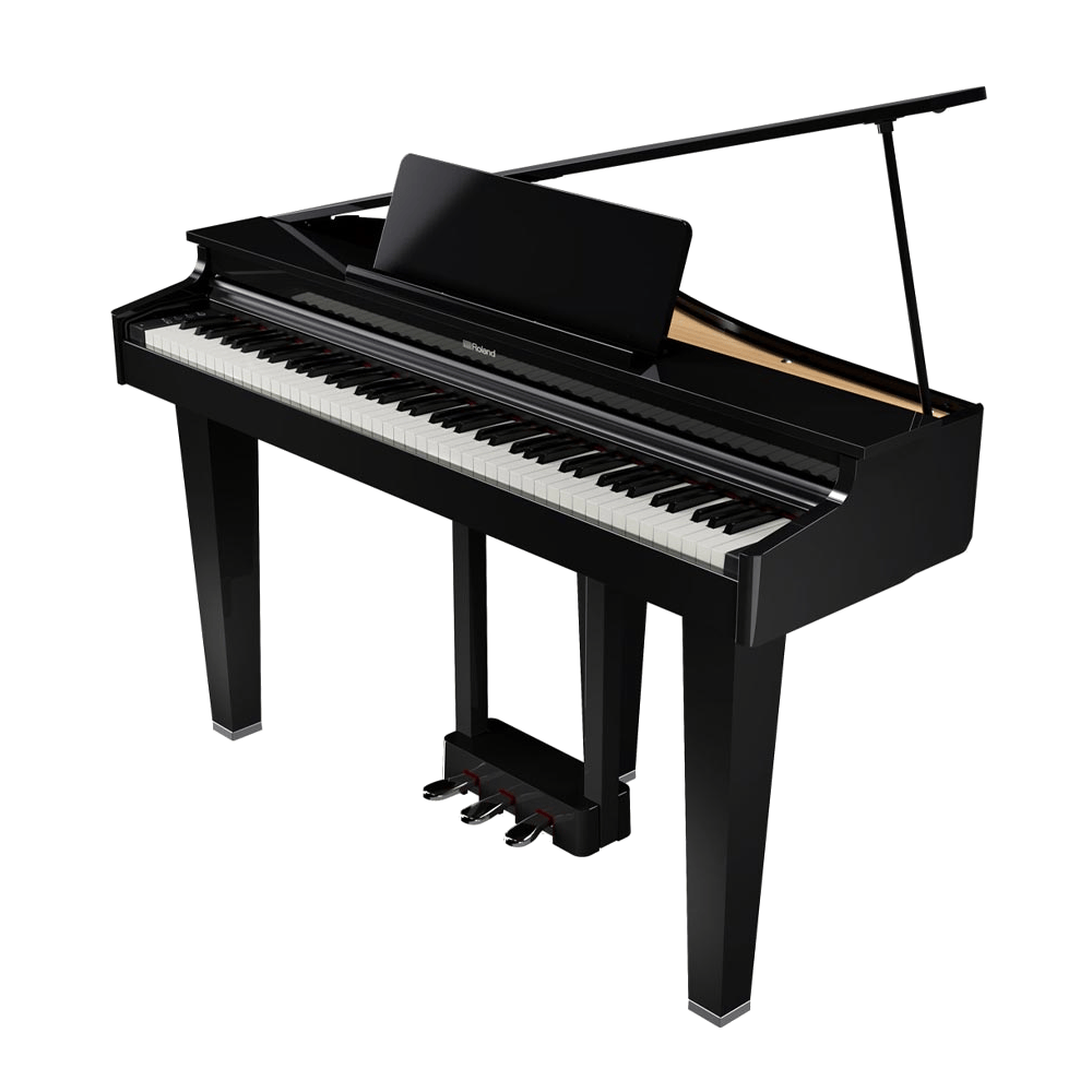Roland GP-3PE Zwart Hoogglans