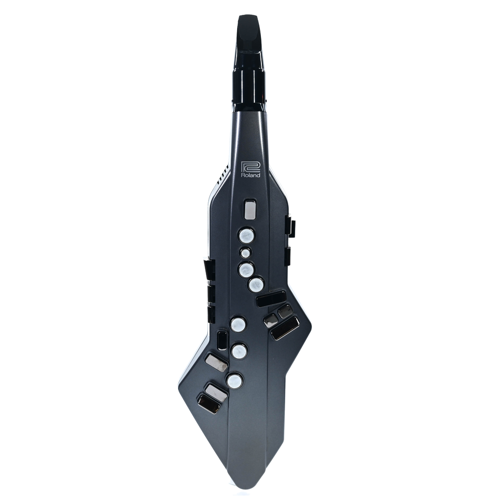 Roland Aerophone Go