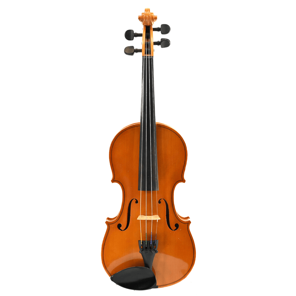 Viool 4/4 set "Diletante"