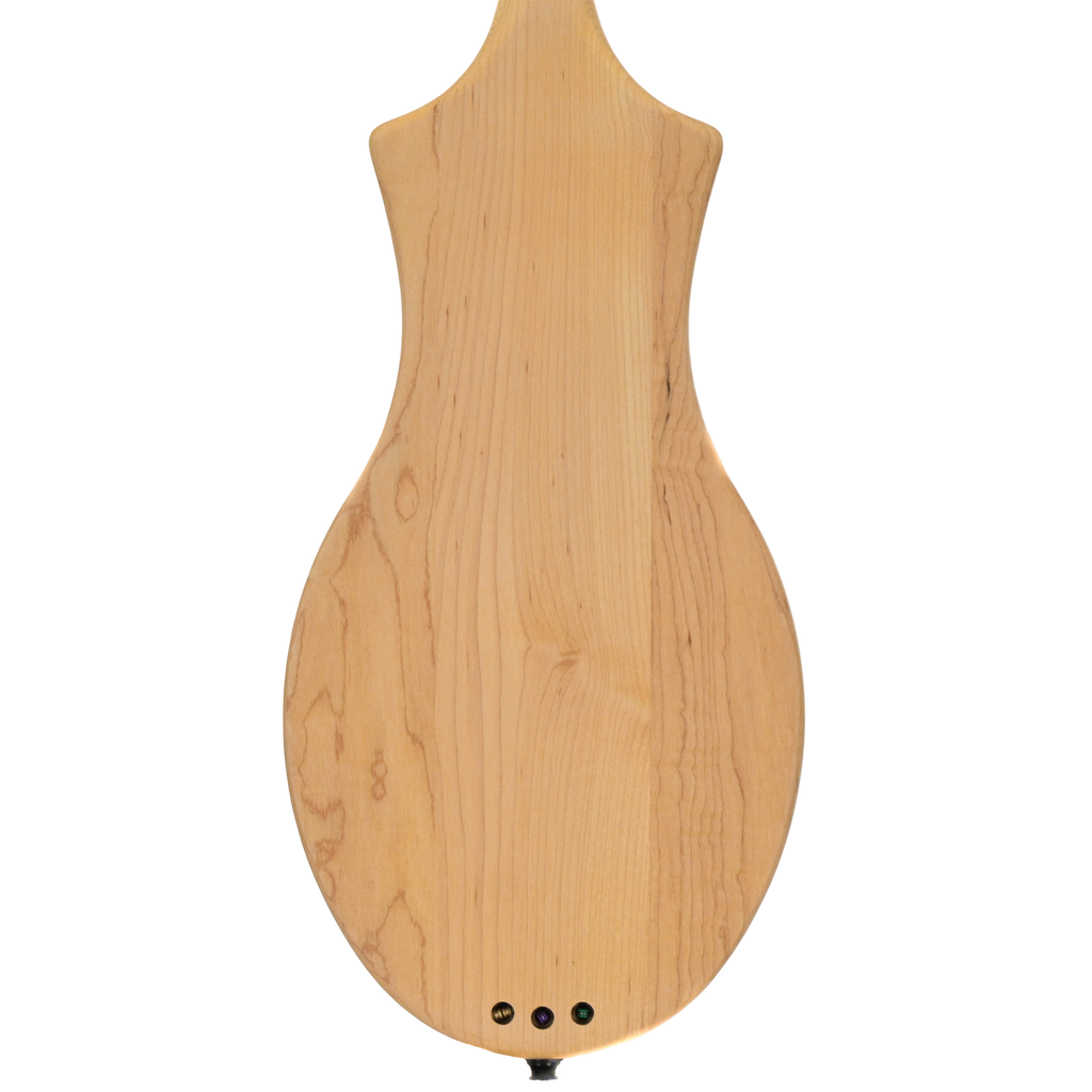 Seagull Merlin M4 Mahogany Pre-Owned