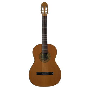 Raimundo model 112 Classical
