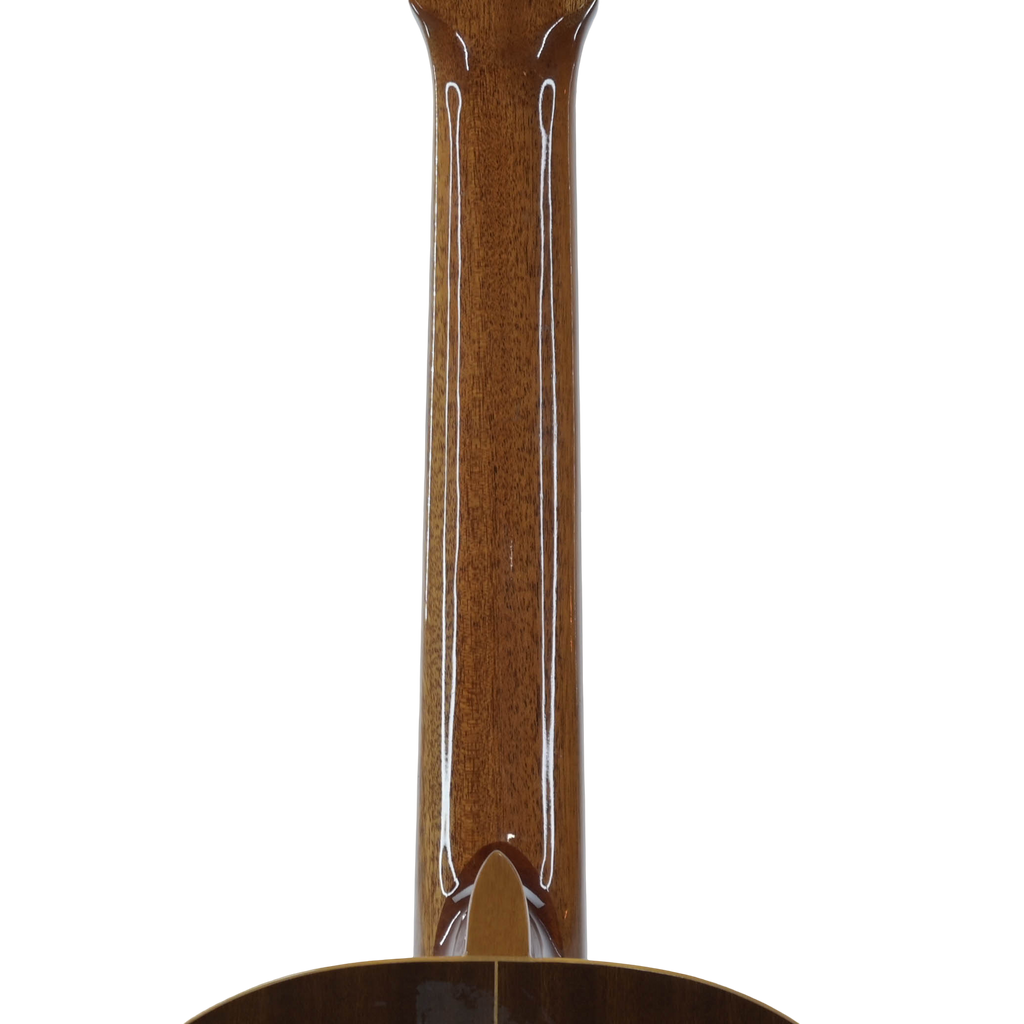 Raimundo model 112 Classical