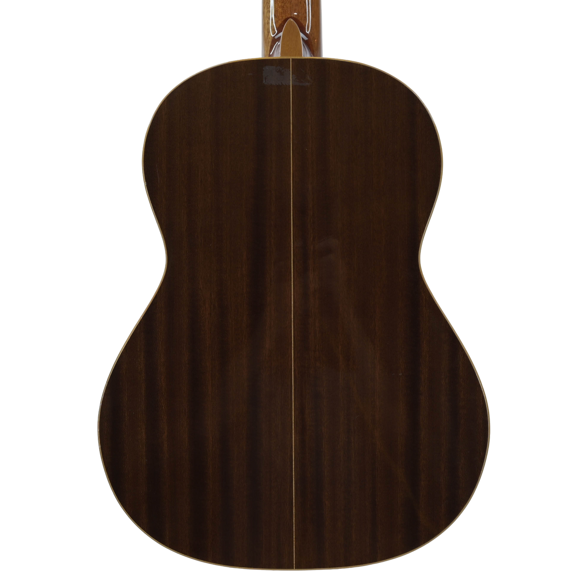 Raimundo model 112 Classical