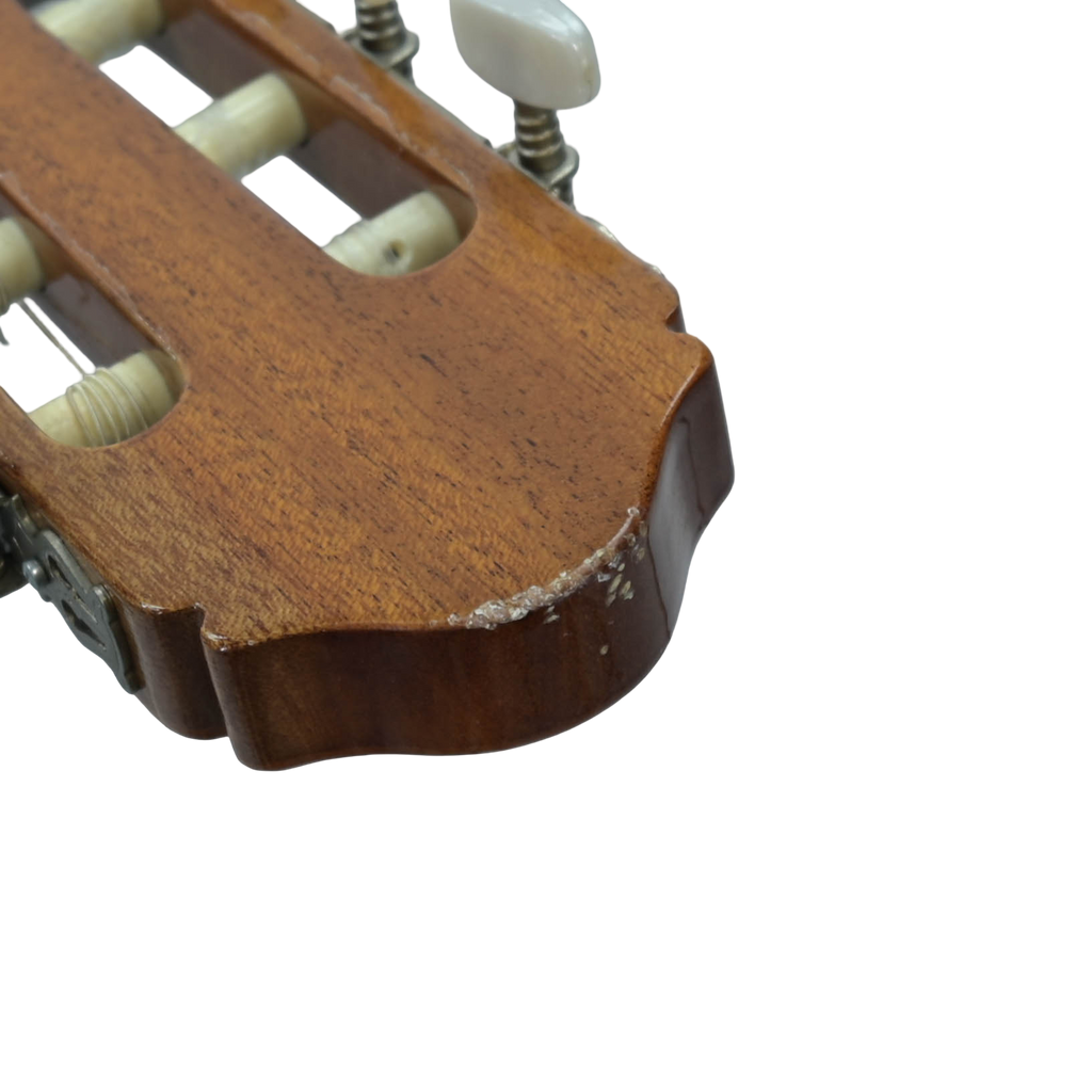 Raimundo model 112 Classical