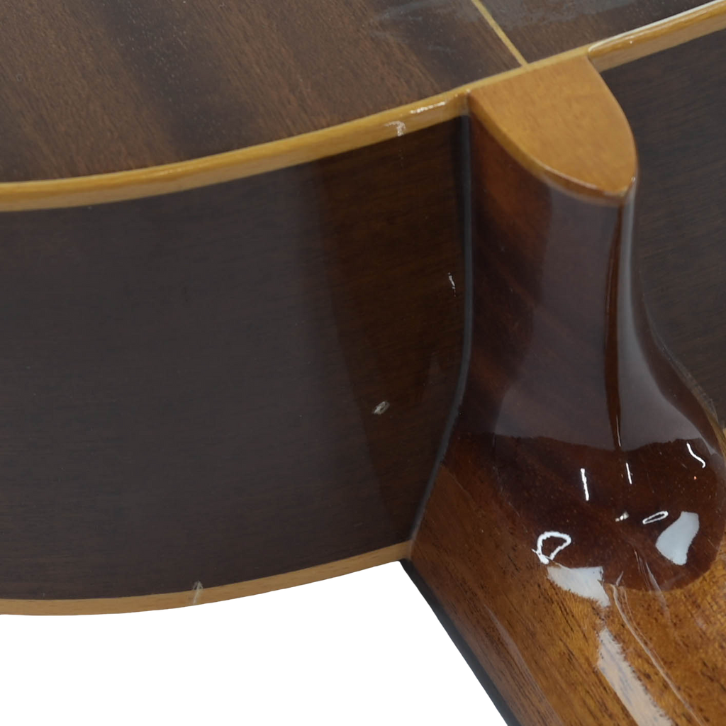 Raimundo model 112 Classical