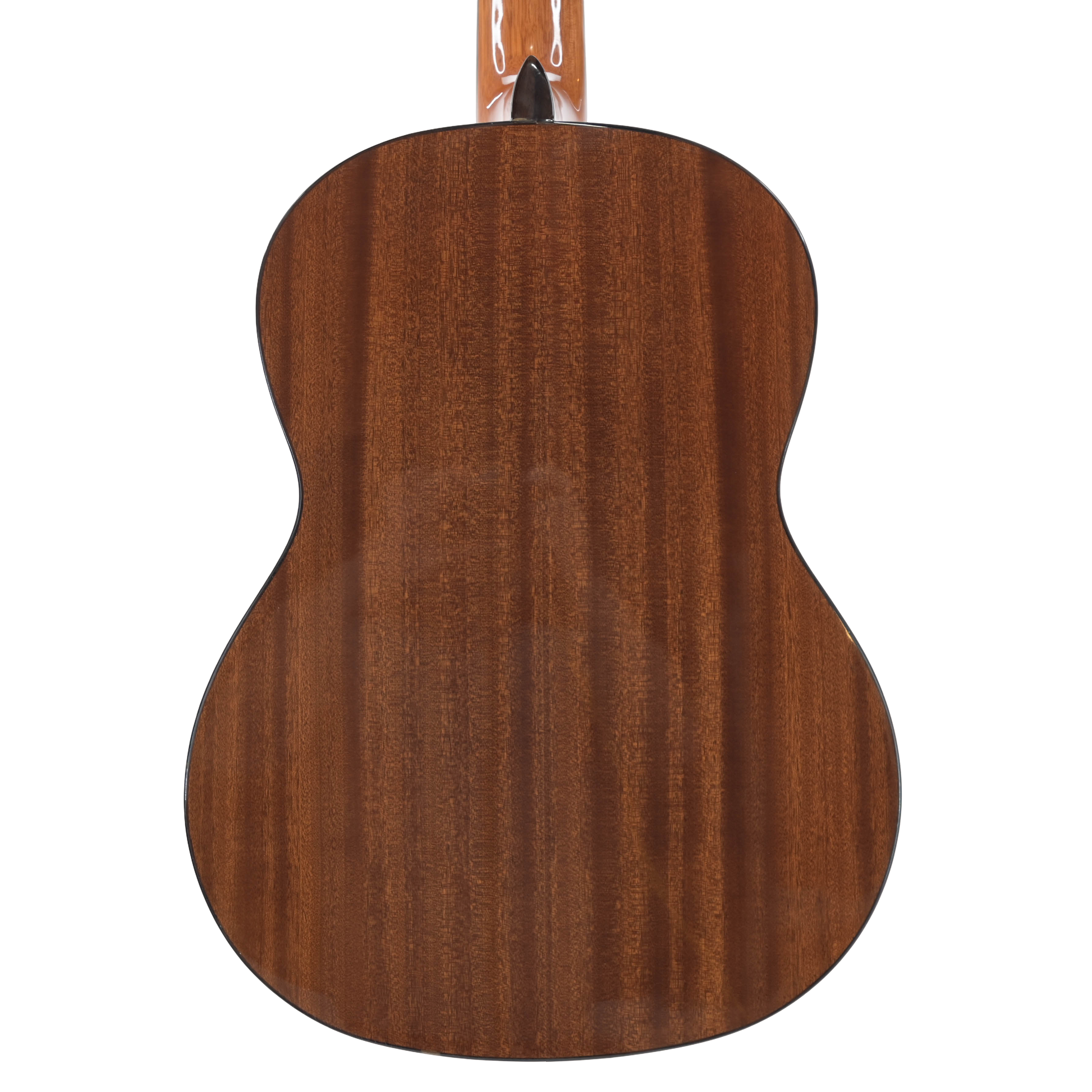 Salvador Cortez CC-22 klassieke gitaar