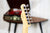 Fender Classic Player Baja '60s Telecaster Faded Sonic Blue PF (5477823086756)