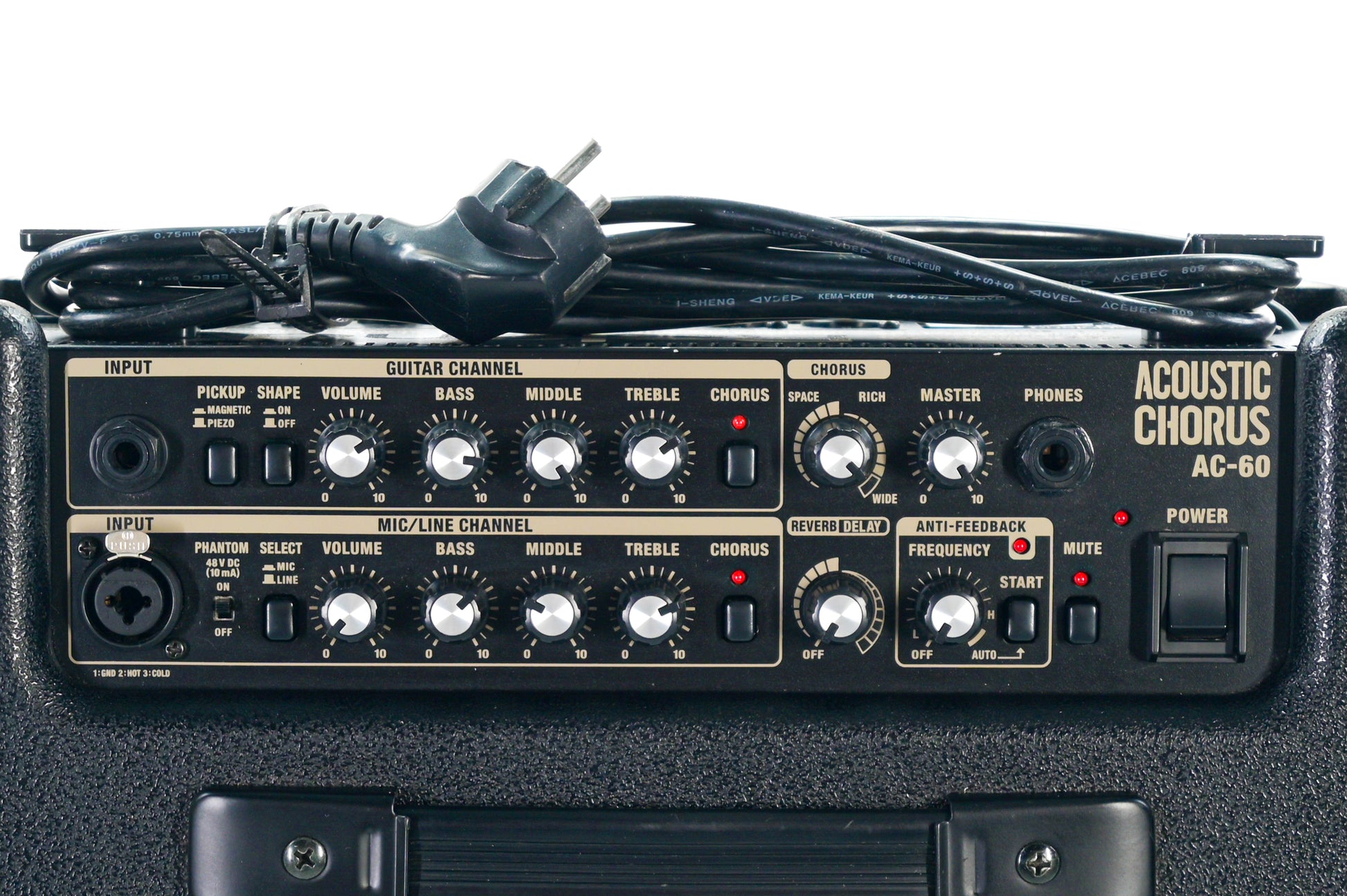 Roland AC60 akoestische versterker
