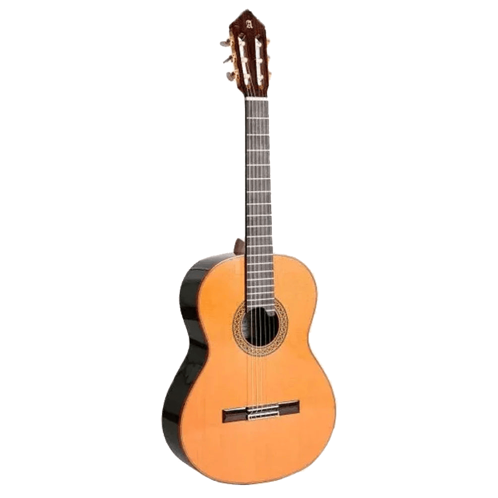 Alhambra Premier Pro Madagascar + Case