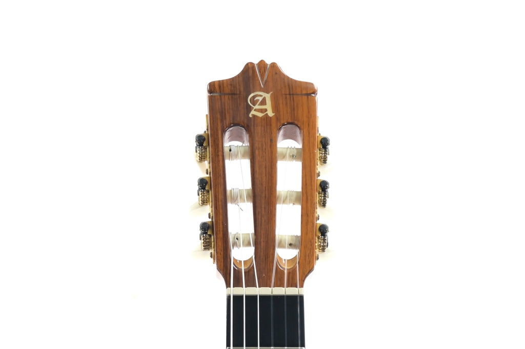 Alhambra CTWE 5P ELE semi akoestische Klassieke Gitaar