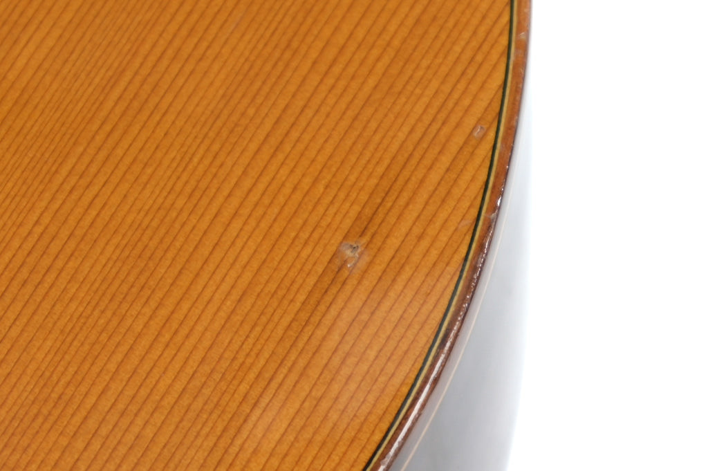 Alhambra CTWE 5P ELE semi akoestische Klassieke Gitaar