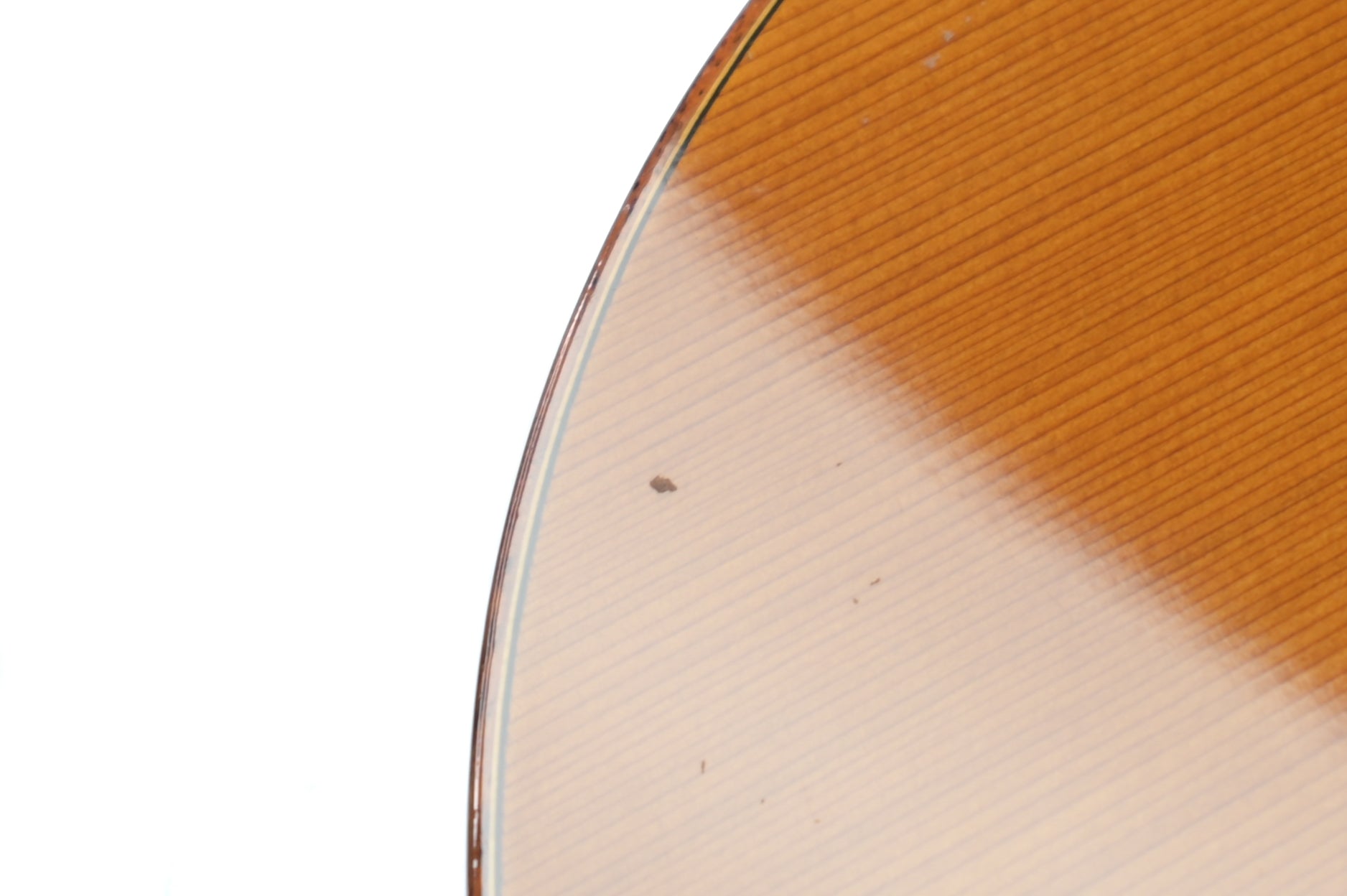 Alhambra CTWE 5P ELE semi akoestische Klassieke Gitaar