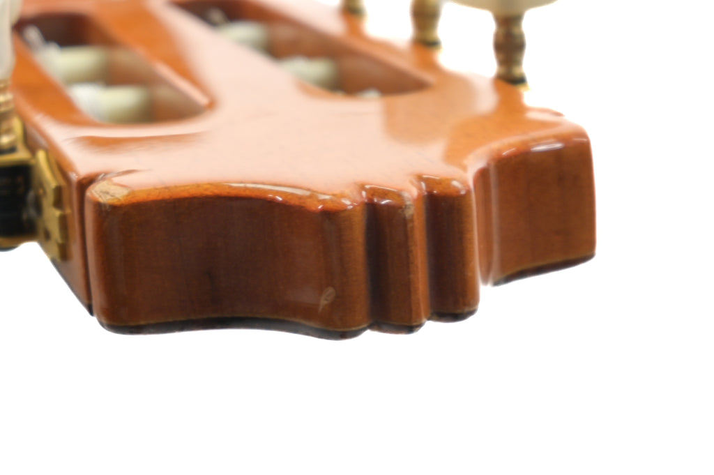 Alhambra CTWE 5P ELE semi akoestische Klassieke Gitaar