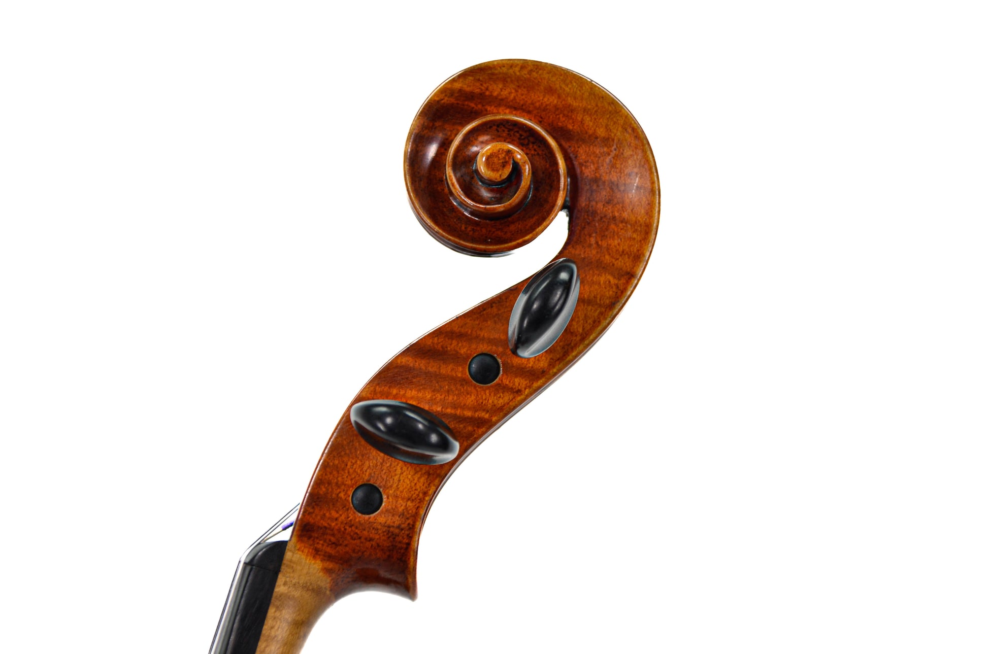 Altviool Wilfer 40,5cm / 16'