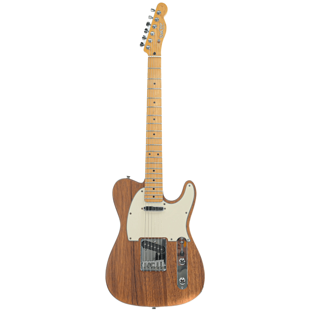 Bach Telecaster  2 (made in Tsjechie)