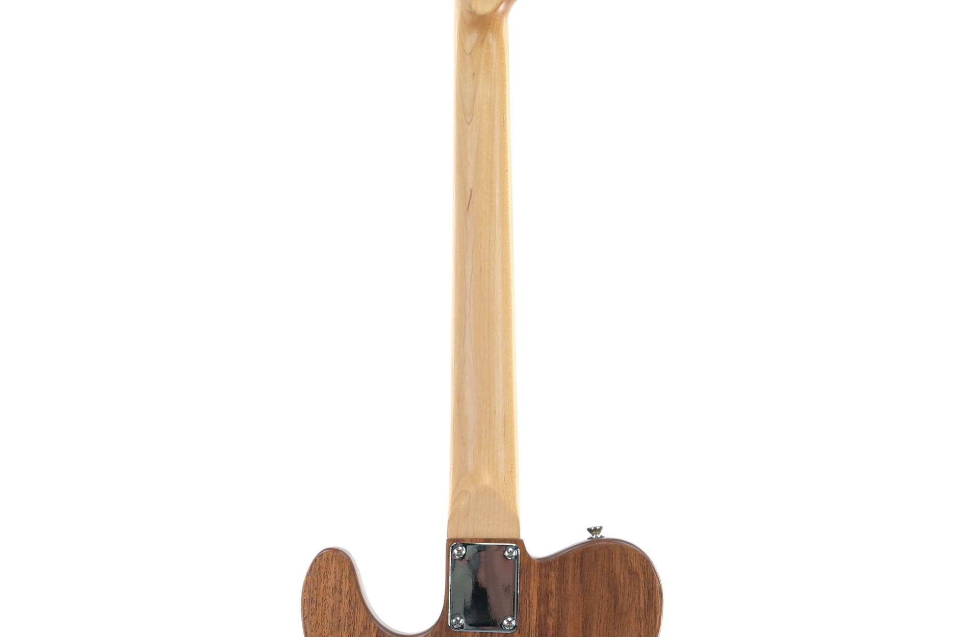 Bach Telecaster  2 (made in Tsjechie)