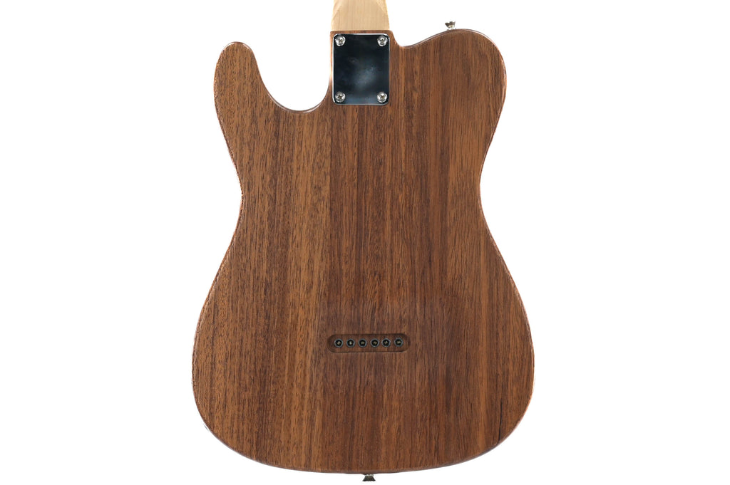 Bach Telecaster  2 (made in Tsjechie)