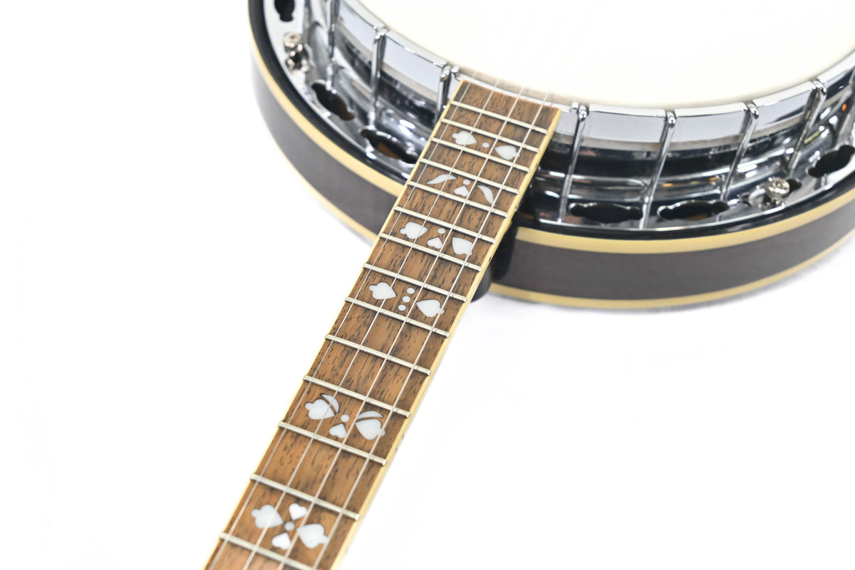 GoldTone Plectrum Banjo PS-250 Occasion