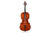 Cello 4/4 Erich Werner 1982 Occasion