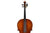 Cello 4/4 Erich Werner 1982 Occasion