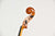 Cello 7/8 set "Benedikt Lang, 1982" Occasion VERHUURD