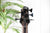 Cort B5 Element Open Pore Trans Black Basgitaar 5-snarig