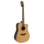 Crafter D18CE-PRO Stage Series