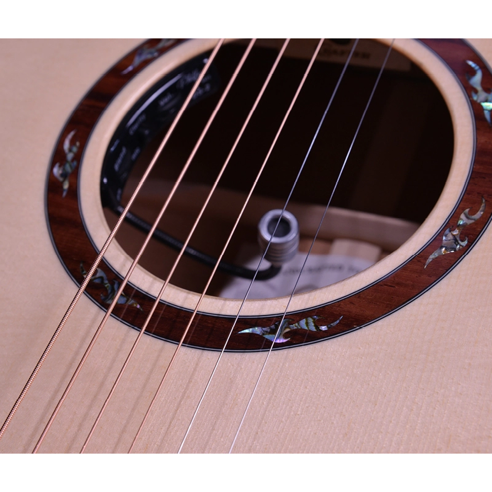 Crafter DG G-1000CE