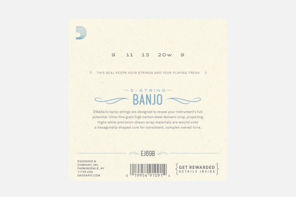D'Addario EJ69B Phosphor Bronze Ball End 5-string banjo 009-020 (5274119012516)