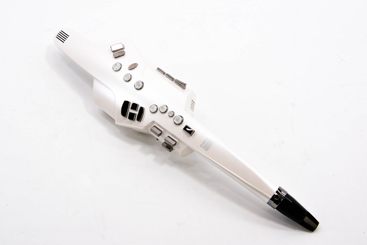 Roland Aerofoon AE 10