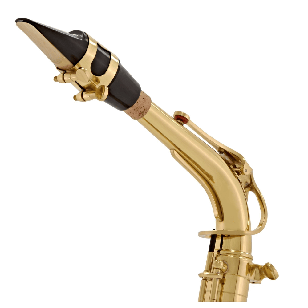 Elkhart AS100 Altsaxofoon Gelakt