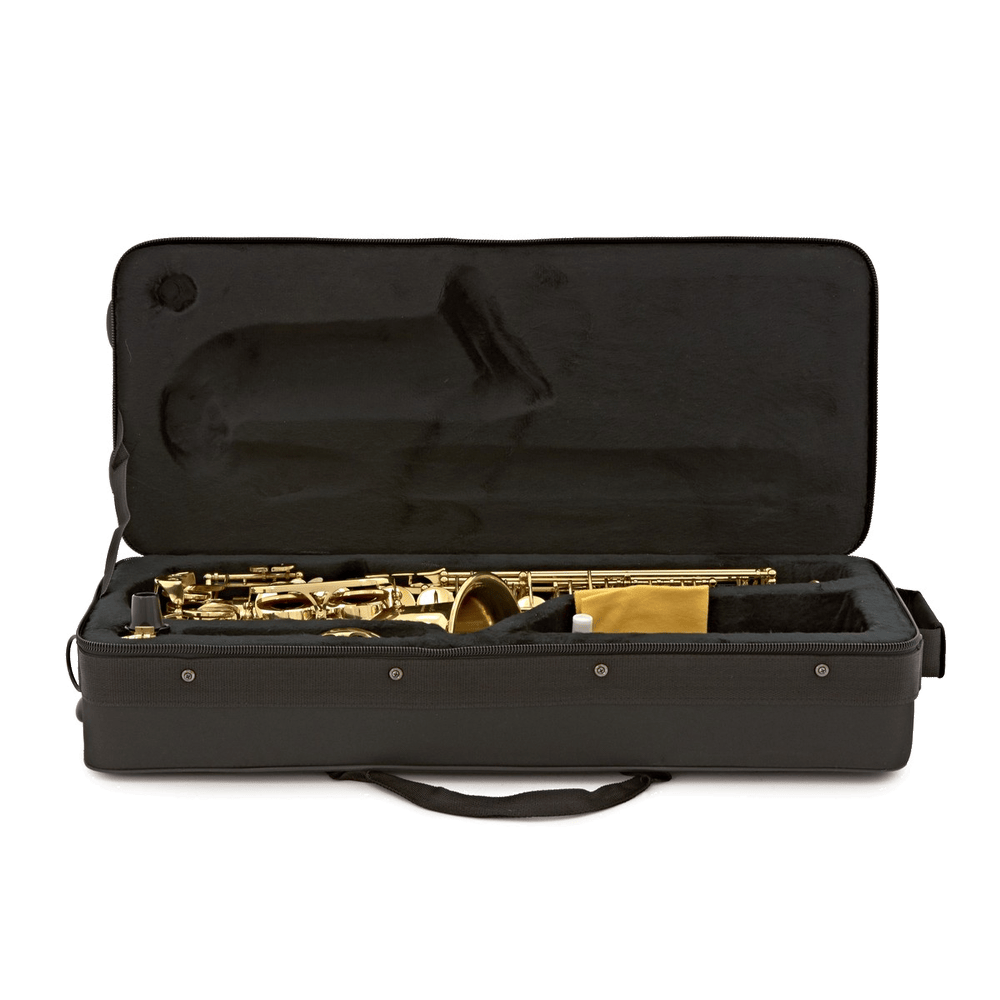 Elkhart AS100 Altsaxofoon Gelakt