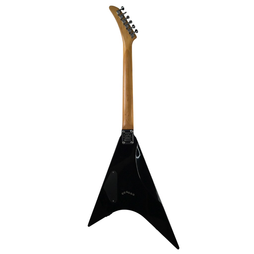 Epiphone Demon V Metallic Black (2001)