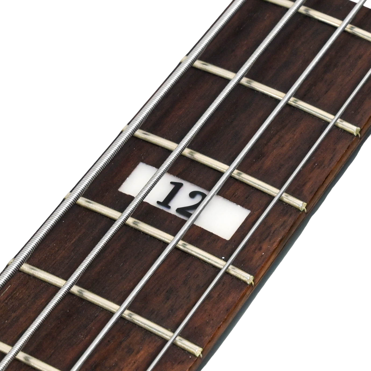 Fender Duff McKagan Deluxe Precision Bass