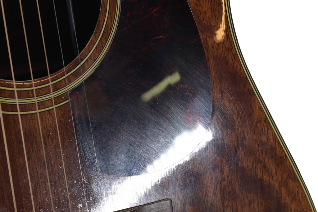 Fender Newporter Korea (MIK) 1988-1996 - Mahogany