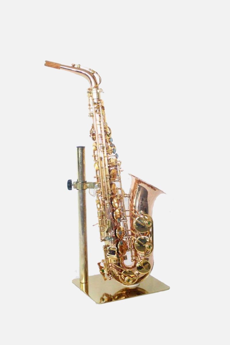 Forest Special Altsaxofoon (5279282364580)