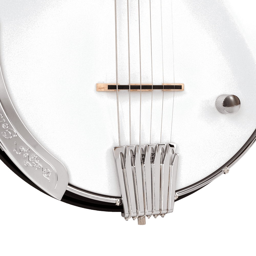 Gold Tone AC-6+ Banjo Gitaar Semi Akoestisch