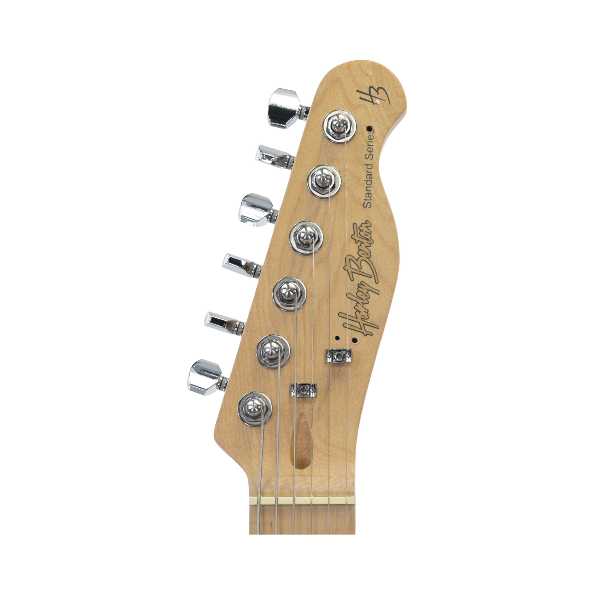 Harley Benton Te-20MN BM modified
