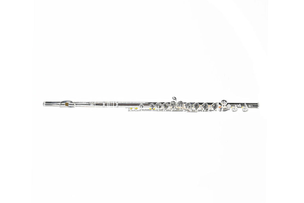 Haynes AF485SE-CO Dwarsfluit