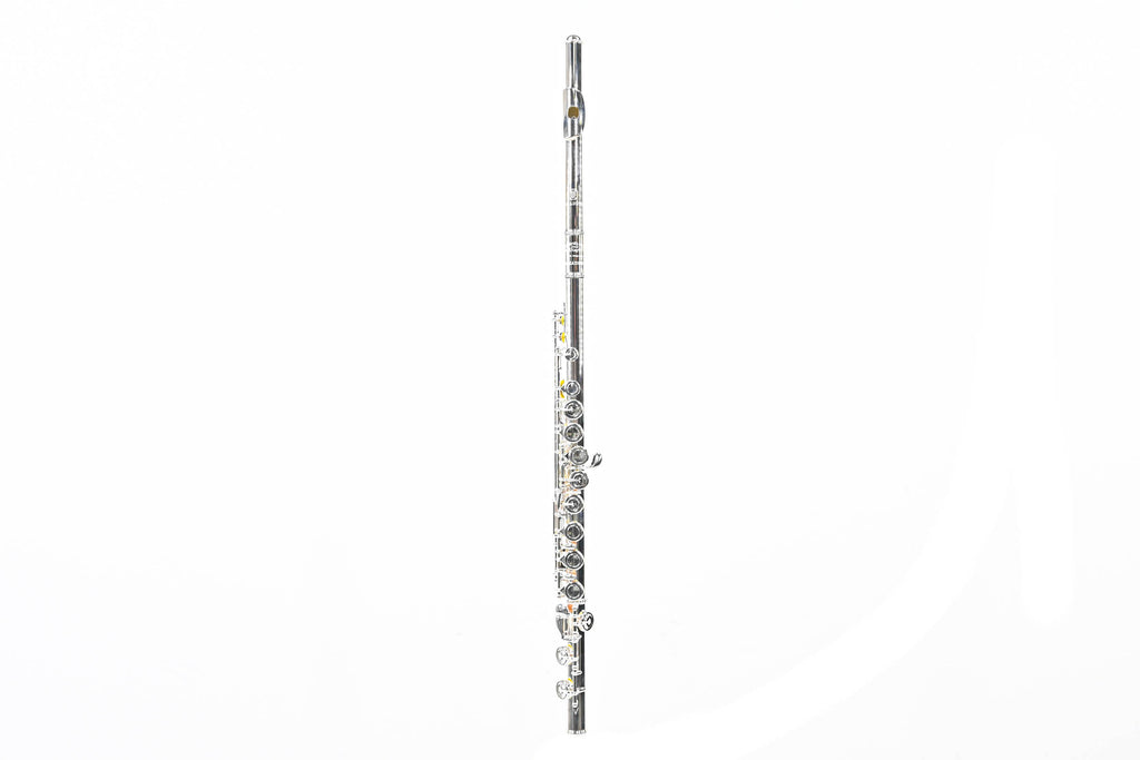 Haynes AF485SE-CO Dwarsfluit