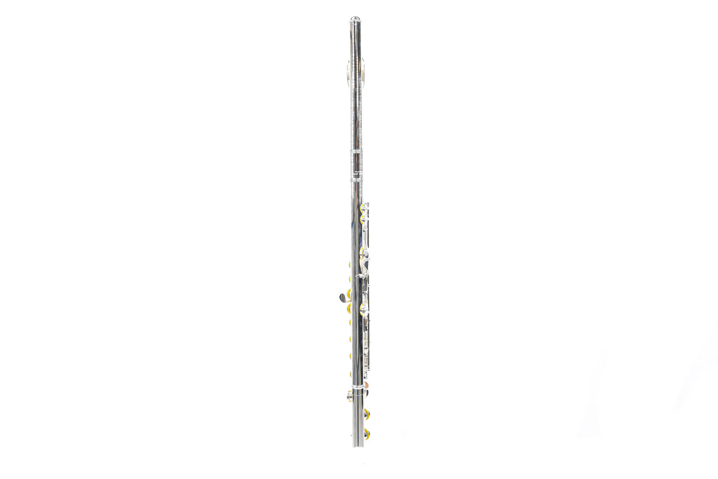 Haynes AF485SE-CO Dwarsfluit