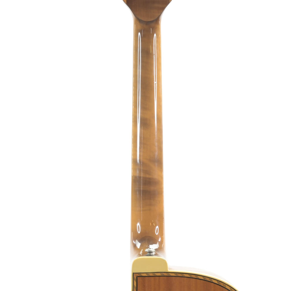 Höfner 463/ S/ E2 circa 1970 hollow body
