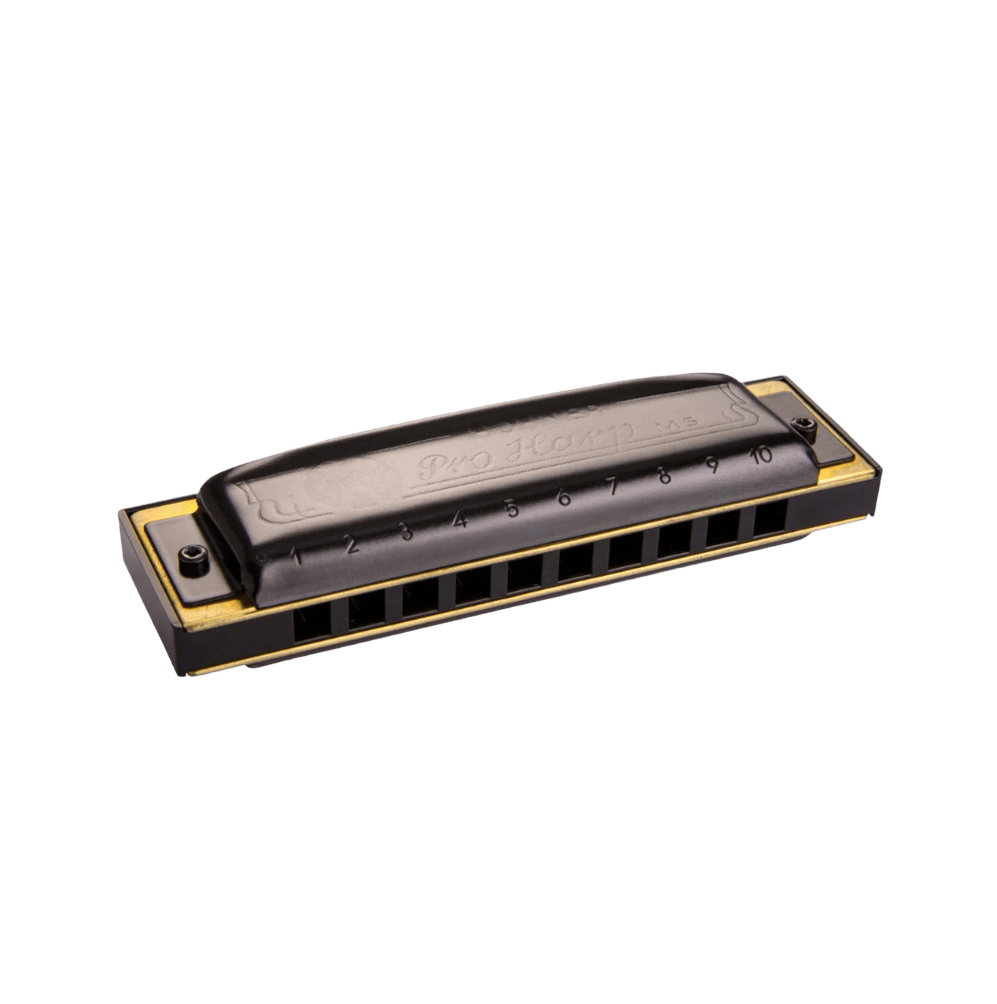 Hohner Pro Harp Eb