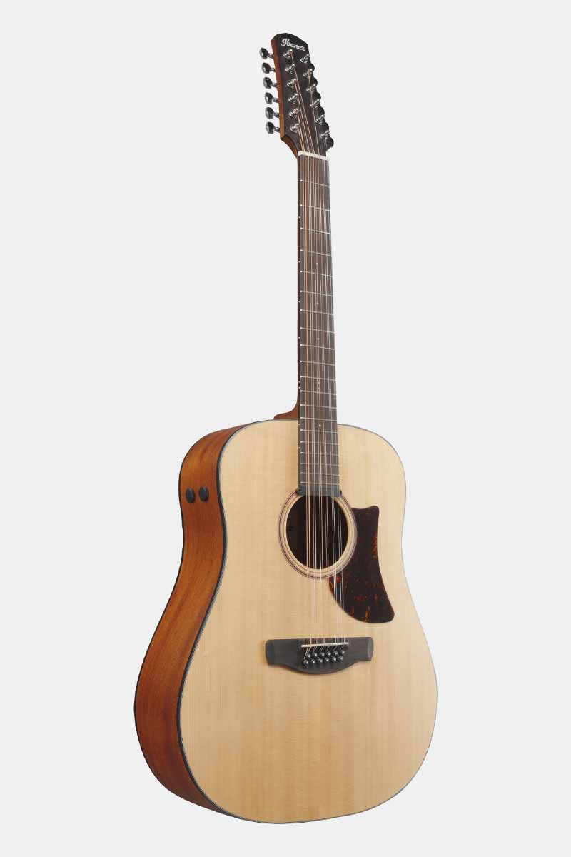 Ibanez AAD1012E OPN 12 Snarig