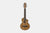 Ibanez EWP14WB-OPN Semi-Akoestische gitaar