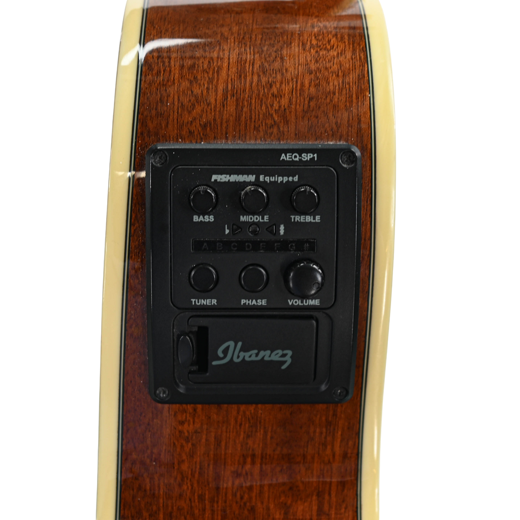 Ibanez AEG10N II-NT