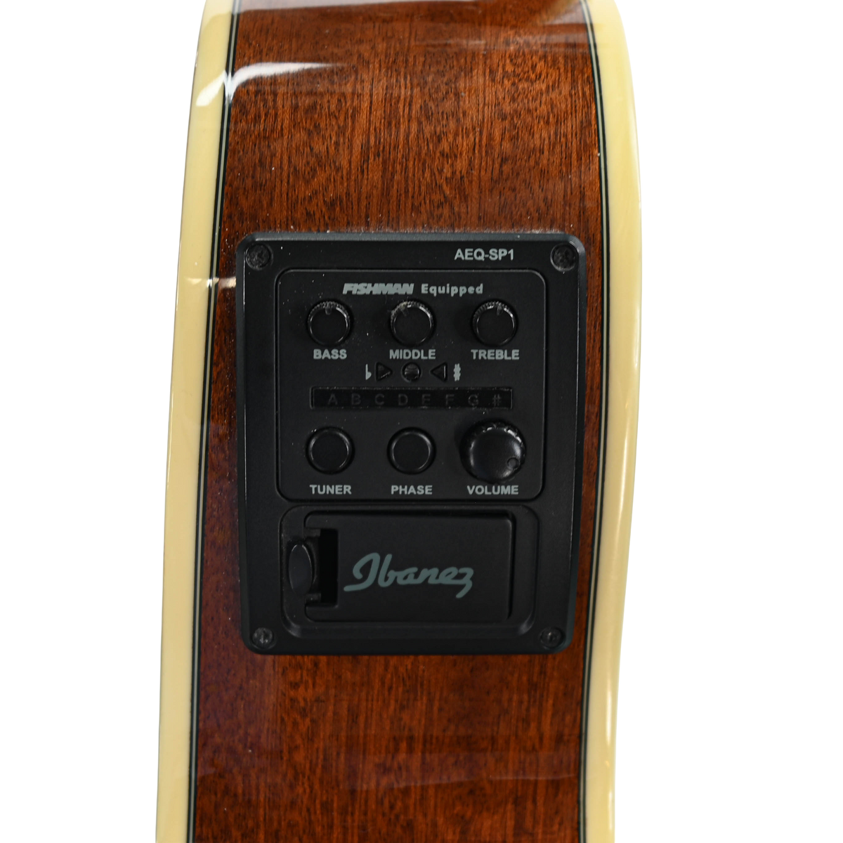 Ibanez AEG10N II-NT